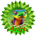 Angy